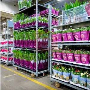 <span class=keywords><strong>Chariot</strong></span> danois, <span class=keywords><strong>chariot</strong></span> à fleurs, <span class=keywords><strong>chariot</strong></span> hollandais, outil de déménagement de meubles, <span class=keywords><strong>chariot</strong></span> - Product Image 3