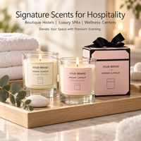 Bougie artisanale en cire de soja, parfum floral, double mèche, cylindre en verre transparent, 40-60 heures de combustion, décoration intérieure