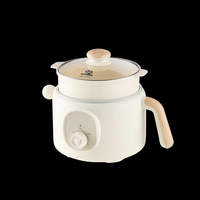Meilleure Vente : Cuiseur Électrique Portable 2L Multifonction avec Cuiseur Vapeur en Acier pour Maison, Hôtel et Utilisation Extérieure – Offre Spéciale