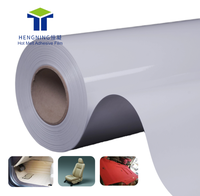 Film adhésif thermofusible HN pour le collage de tissus, cuir et métal sur les sièges, tapis, plafonds et panneaux de porte des intérieurs automobiles