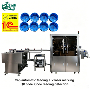 Automatic UV <b>Laser</b> Marking <b>All</b>-<b>in</b>-<b>One</b> Machine with Feeding Sorting Vision Inspection & Auto Rejection for Plastic Bottle Caps - Product Image 5