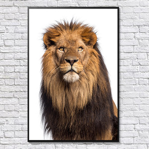 Póster Enmarcado <span class=keywords><strong>de</strong></span> León Africano, Impreso con Tinta Ecológica, Impermeable, Decoración <span class=keywords><strong>de</strong></span> Pared Moderna y Sencilla - Product Image 5