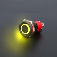 WD19mm 15A Interrupteurs à bouton-poussoir autobloquants Noir Oxyde d'aluminium LED 2NO pour anneau d'alimentation 12V Logo Personnalisable