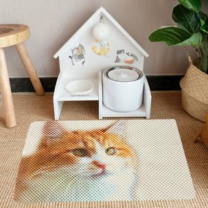 Maßgefertigte Tiermuster-Handwaschbare Umweltfreundliche Wasserdichte PVC-Haustiermatte für Hunde und Katzen - Product Image 1