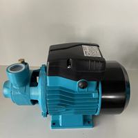 Petite pompe à eau électrique auto-amorçante pour usage domestique QB60 QB80