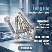 Drill Tail Screw Hexagon Self-tapping Screw M5.5 Self-drilling Screw Color Steel Tile Dovetail Wire Nail