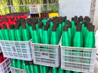 Plastiek datopalm mono groene gaas zak netzak voor bescherming van datopalmvruchten tegen stof, ongedierte en vogels