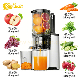 Extracteur de jus commercial à mastication lente pour canne à sucre, oranges et agrumes, machine à presser à froid - Product Image 3