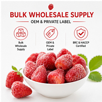 Hot Selling Iqf Hele 10Kg Bulk Bevroren Aardbeien Topverkoper In Bevroren Fruit Categorie
