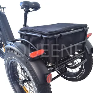 QUEENE/48V 750W 3 Wheel Passenger Electric Tricycles 3 Wheel Cargo Trikes Fat Tire Electric Bikes 3 Wheels For Adult