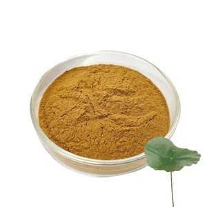 Extrait de feuille de lotus 100% extrait de feuille de lotus séché pur extrait de feuille de lotus - Product Image 1