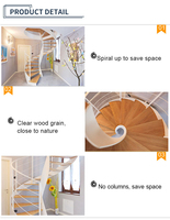 Types de bel escalier en colimaçon intérieur résidentiel commercial Escalier de luxe