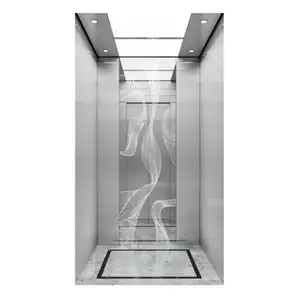 High Quality Hotel Villa Home Elevator Price