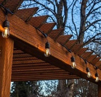 Guirlande lumineuse LED extérieure personnalisée de 10 m avec 20 ampoules, câble en caoutchouc de haute qualité, pour la décoration de restaurants, mariages et Noël