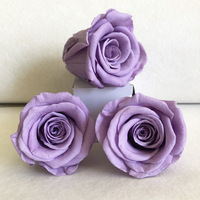 Roses éternelles de qualité supérieure |   Boîte cadeau DIY aux tons Morandi sophistiqués |   Roses fraîchement pressées, vente en gros disponible en Chine
