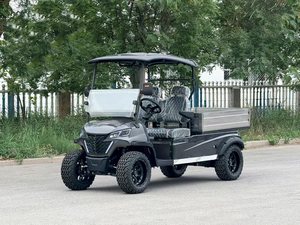 Carrito de Golf de 8 Plazas con Certificación EEC, Batería de Litio de 5KW, Buggy de Golf para Caza, Scooter de Acero para Club de Golf, Carrito de Golf de 8 Asientos - Product Image 5