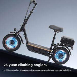 Scooter Eléctrico de Dos Ruedas de 750W Barato de China, 80km de Autonomía, 40km/h, 15Ah, Control por Aplicación, Carga Máxima de 150kg, Envío Gratis desde Almacén en EE. UU. - Product Image 5