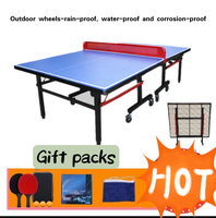 Table de Tennis de Table Pliante Moderne de Luxe Homologuée pour l'Intérieur, en Bois, Écologique – Offre Spéciale