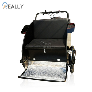 Tricycle électrique à <span class=keywords><strong>3</strong></span> <span class=keywords><strong>roues</strong></span>, appareil pour le tourisme, la famille, pour adulte - Product Image 4