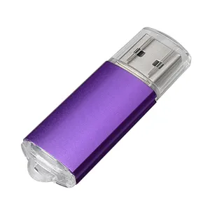 DIGIBLOOMプロモーションギフトメタルUSB2.0Usb 3.0フラッシュドライブブラッシュドアルミニウムポータブル最も安いフレッシュカラーUSBフラッシュドライブ