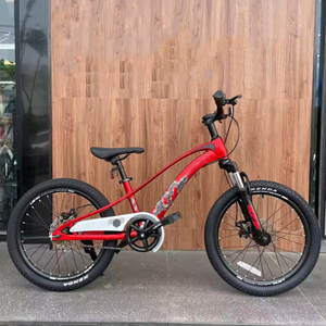 Bicicleta de Pedal de horquilla de aleación de magnesio de 20 pulgadas <span class=keywords><strong>para</strong></span> niños y <span class=keywords><strong>niñas</strong></span> de escuela primaria bicicleta individual de aleación de magnesio bicicleta grande <span class=keywords><strong>para</strong></span> niños - Product Image 6