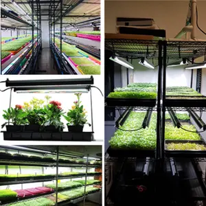 Led T5 Plant Vertical Aquarium Hydroponic Plastic Pots For Nursery Plants Flower Stand High Umol Grow Led Light Stand