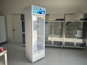 Frigorifero Commerciale con Porta in Vetro per Esposizione di Cola e Birra, Frigorifero Verticale, Refrigeratore per Bevande - Product Image 6