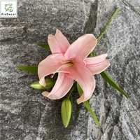 Bunga Lily PU Putih Buatan Grosir, Tangkai Pendek, Multifungsi - untuk Dekorasi Pernikahan, Hotel, Natal, Paskah, Tahun Baru