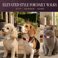 Collier pour chien en velours polyester avec boucle métallique or rose, réglable, pour animaux de compagnie, OEM ODM, fournitures de luxe pour boutiques, commandes en gros