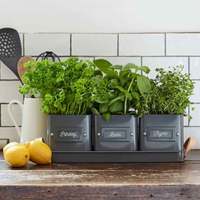 Lot de 3 pots rectangulaires en pierre pour herbes aromatiques avec plateau à poignée en cuir