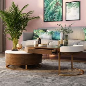 Nova 2 Miếng Gỗ Rắn Tổ Bàn Cà Phê Bộ Đồ Nội Thất Phòng Khách Hiện Đại Vòng 4 Ngăn Kéo Trung Tâm Bàn Trà Với Vàng Kim Loại - Product Image 6