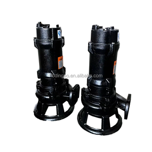 1 л. С. 750 Вт взрывозащищенный водопроводный водяной насос с биогазовым насосом - Product Image 2