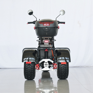 Motocicleta Eléctrica de Tres Ruedas SHANSU CP-7 con Certificación EEC COC, Dos <span class=keywords><strong>Baterías</strong></span> de Litio Extraíbles, Freno de Disco de Aceite Delantero y Trasero, UE - Product Image 3