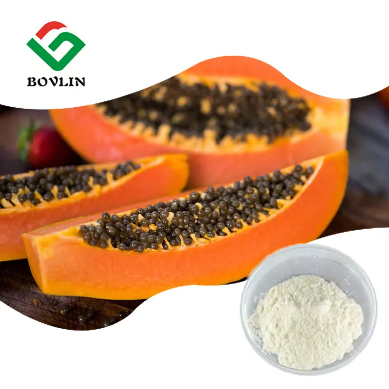 Food Grade Papaya Enzyme Papain Powder 100k-2M U/G