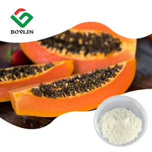 Polvo de papaína de enzima de papaya de grado alimenticio 100k-2M U/G