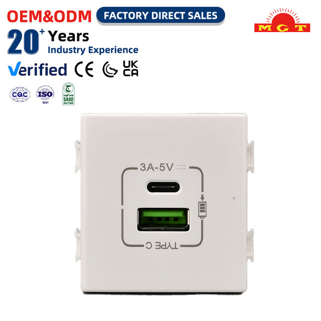 Factory Price Household AC 100V 240V White USB Type-C Double Module Power Socket Compatible Charger Socket Wall Socket