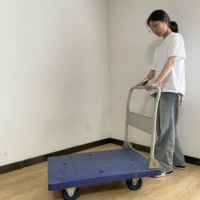 Carro de Plataforma de Acero Plegable de Cuatro Ruedas con Capacidad de Carga de 150 kg, Compatible con OEM, Carro de Mano de Plástico para Almacén, Herramientas de Transporte