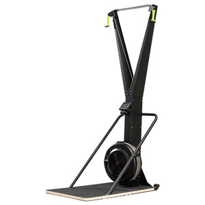 Ski Machine Indoor Wind Resistance <b>Rowing</b> Equipment Full Body Workout Home Fitness Unisex Steel Construction Adjustable Seat - Product Image 2