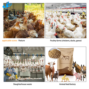 2025 mô hình mới gà bữa ăn dây chuyền sản xuất cho chăn nuôi trang trại chất thải bữa ăn máy làm cho lông bột - Product Image 6