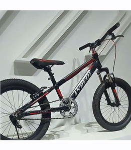 Bicicleta de Montaña de 20 Pulgadas con Cuadro de Acero, Una Velocidad, Frenos de Disco, <span class=keywords><strong>para</strong></span> Niños y Niñas, Ciclismo Deportivo al Aire Libre - Product Image 2