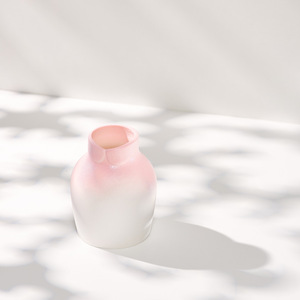 Jarrón de Cerámica Estilo Nórdico en Degradado Rosa Suave con Función Hidropónica para Sala de Estar, Estudio, Dormitorio, Exhibición de Flores Secas - Product Image 4