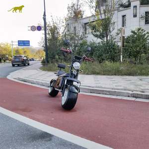 Faro Delantero y Luz de Dirección Trasera para Motocicletas Eléctricas - Product Image 4