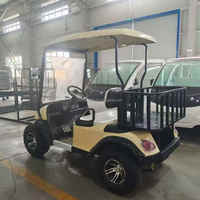 Voitures de golf électriques 5-6 places à prix avantageux, buggy à vendre, chariots de club chinois, chariots de chasse, chariots utilitaires pour hôtel et complexe hôtelier