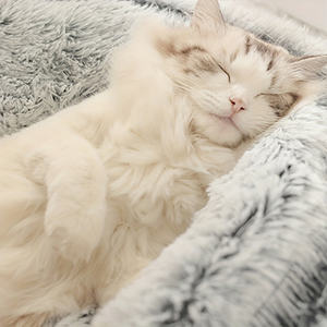 เตียงแมวโดนัท-ผ้ากำมะหยี่นุ่มพิเศษเต็นท์สัตว์เลี้ยงเสื่อนอนหนาเหมาะสำหรับลูกแมวพันธะและเวลาเล่นกับเพื่อนแมวของคุณ - Product Image 3