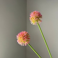 Oignons verts longs, feuilles de pissenlit, boules vertes duveteuses, tiges pliables, fleurs artificielles en peluche
