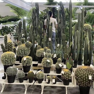 Maceta con Árbol Artificial para Decoración de Jardín, Hojas Verdes, Planta Artificial para Interiores, Cactus, Venta al Por Mayor de Fábrica - Product Image 2