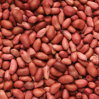 Arachides blanchies séchées de qualité supérieure, grade 3A, origine Chine, qualité d'exportation, grandes quantités, prêtes à consommer, fraîches et nutritives