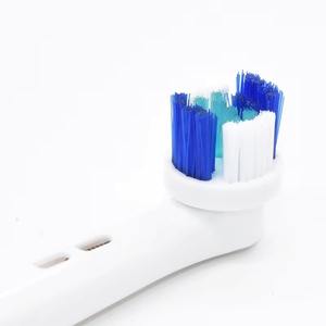 Baolijie Eco-friendly <b>Toothbrush</b> <b>Head</b> for Biodegradable Brand New <b>Toothbrush</b> - Product Image 2