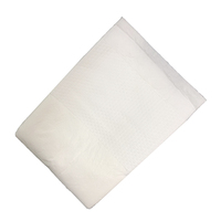Couches pré-pliées jetables pour adultes Rose Pull-up pour femmes Couches adultes biologiques mignonnes avec protection contre les fuites Couche adulte 6000ml