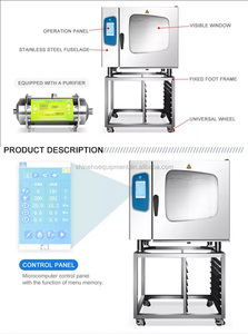 Professional 10 Trays Electric Steam Cooking <strong>Combination</strong> Pizza Using a Combi <strong>Oven</strong> Australia <strong>Oven</strong> - Product Image 5